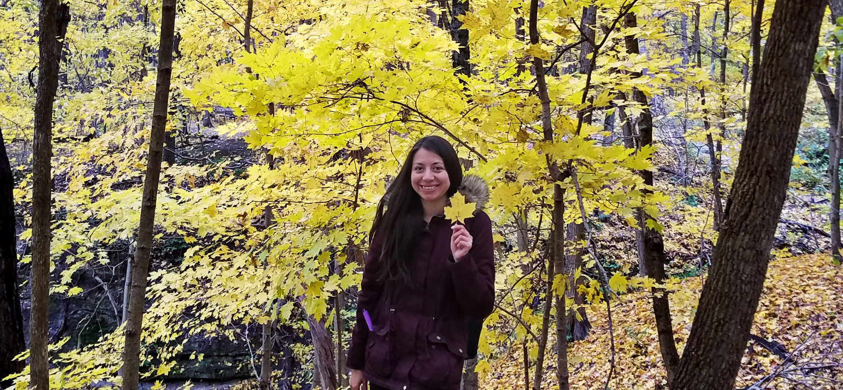 Colombian student with fall trees