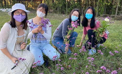 Students picking flowers